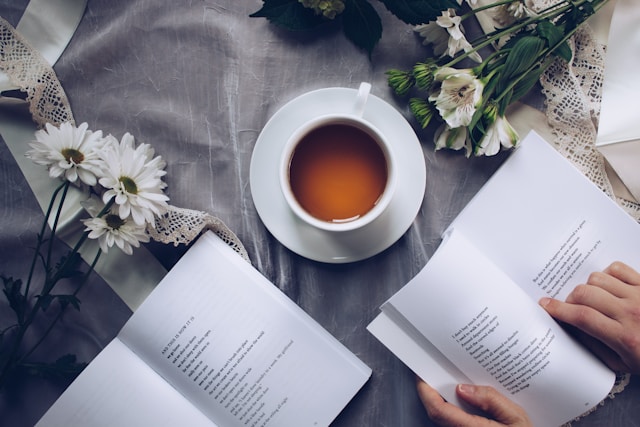 Rossiter Books, book store, bookshop Cheltenham, bookshop Leominster, bookshop Malvern, bookshop Ross-on-Wye, bookshop Monmouth, bookshop Hereford, independent book seller, family run bookshop Wales, Herefordshire