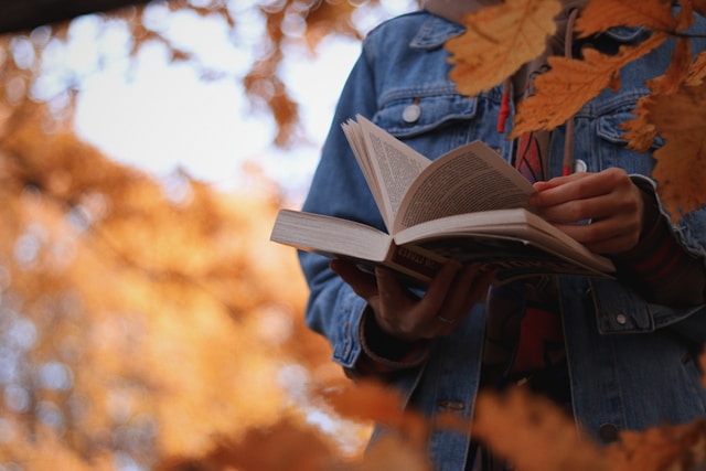 Rossiter Books, book store, bookshop Cheltenham, bookshop Leominster, bookshop Malvern, bookshop Ross-on-Wye, bookshop Monmouth, bookshop Hereford, independent book seller, family run bookshop Wales, Herefordshire